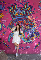 04-11-24 #8270 ALMA CAMPOS _CTR0679