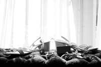 23 DICIEMBRE 24_W9A6314