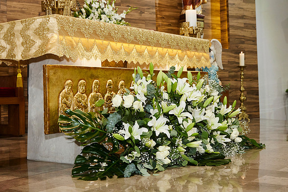 16 NOVIEMBRE 24 _W9A7693