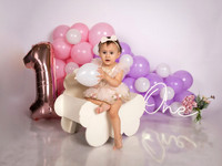 #12384 JAIME EDUARDO ELIZONDO - 2219