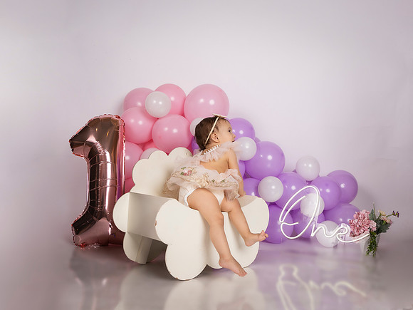 #12384 JAIME EDUARDO ELIZONDO - 2235