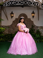 #6005 RAQUEL RUIZ BUSTOS XV DIANA