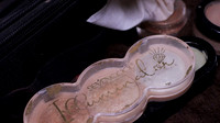 MVI_3480.00_02_09_18.Imagen fija006