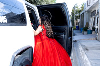 16 NOV 25 #8288 FATIMA FABIOLA GZZ _CTR0024