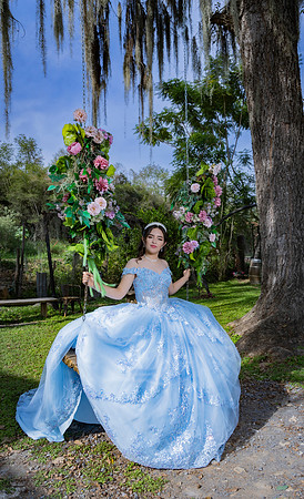 08 01 26 #8176 IRIS NANCY RDZ - 4724