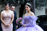 20-12-25 #8385 LAURA ANGELICA ORNELAS _CTR0014