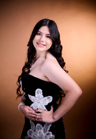# 12431 JESICA GUAJARDO DE LA GARZA _JEN4806