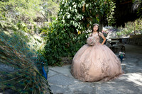 #8246 ADRIANA CASTRO - 4902