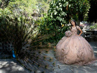 #8246 ADRIANA CASTRO - 4899