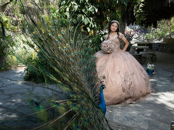 #8246 ADRIANA CASTRO - 4905