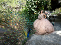 #8246 ADRIANA CASTRO - 4903