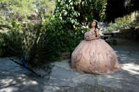 #8246 ADRIANA CASTRO - 4907