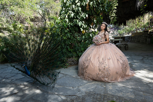 #8246 ADRIANA CASTRO - 4907