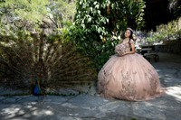 #8246 ADRIANA CASTRO - 4908