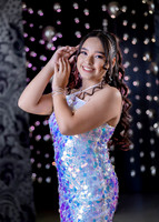 17 03 26#8222 PATRICIA ALVARADO-2890