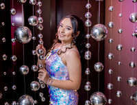 17 03 26#8222 PATRICIA ALVARADO-2876