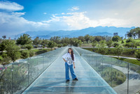 30 03 26#1183 NORMA HAYDE SANCHEZ-8981