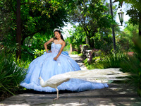 #2603 ANTONIA TOLENTINO-SESION FORMAL XV WENDY