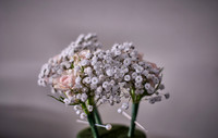 A&H _JEN0441