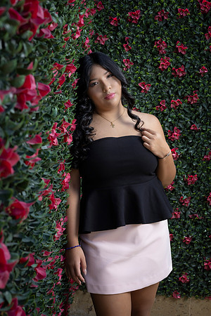 #8535 MARISOL HDZ - 7909
