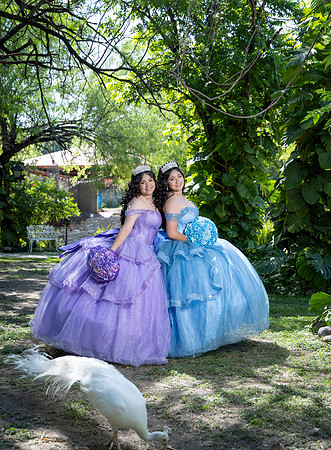 05 MAYO 26 #4172 ANA PATRICIA GZZ _CRI0348
