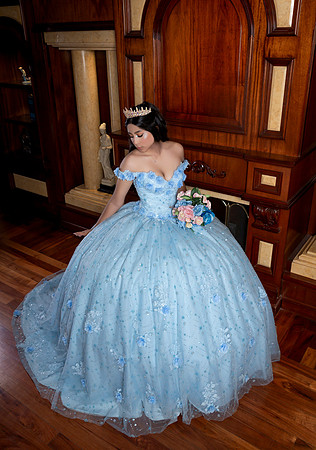 #12482 OLGA ELIZABETH OLMOS ANGUIANO_XV FORMAL_SE_BRYAN-2974