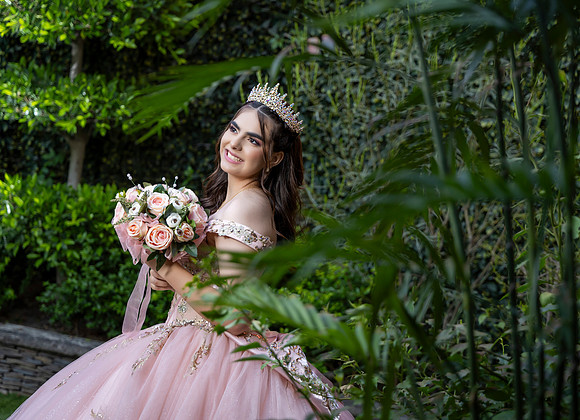 15 MAYO 26 NORMA _CRI2453