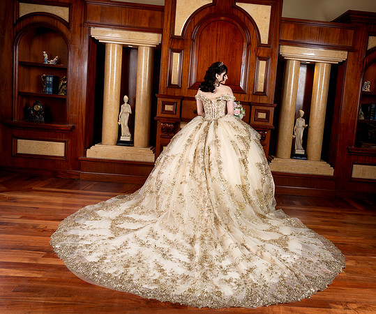 #12536 LORENA MANZANARES SALAS_FORMAL XV_SE_BRYAN-4619