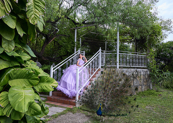 #8395 MARICRUZ BENAVIDEZ _JEN7641
