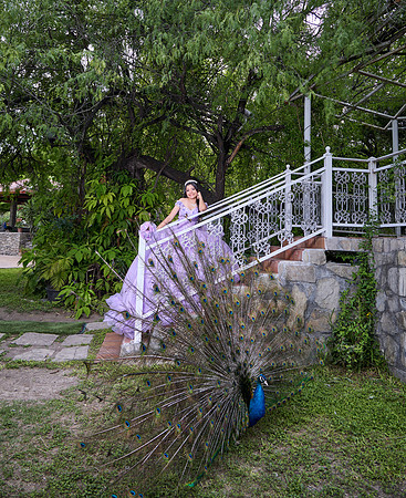 #8395 MARICRUZ BENAVIDEZ _JEN7645
