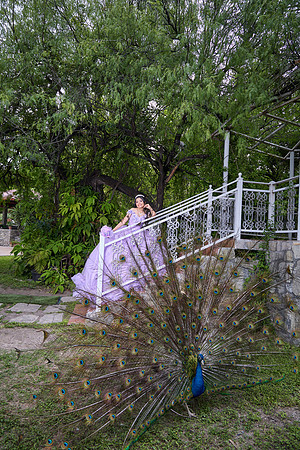 #8395 MARICRUZ BENAVIDEZ _JEN7647