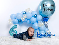 07 DIC 24 #12177 ALMA LUEVANO _CTR0431