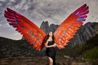 ꕤCONTRY#2063 PERLA AVILA  XV ALEXA