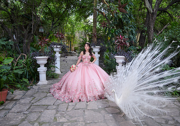 #8460 MARIBEL ESQUIVEL RANGEL _JEN1991