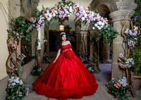 ARCOS FLORES 4