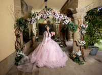 ARCOS FLORES