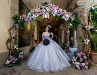 ARCOS FLORES 3