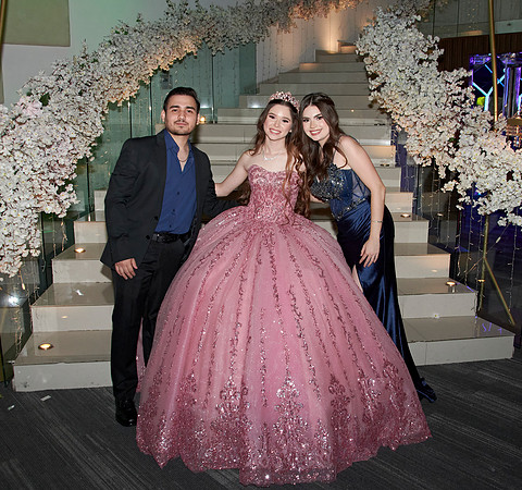 _JIM9305