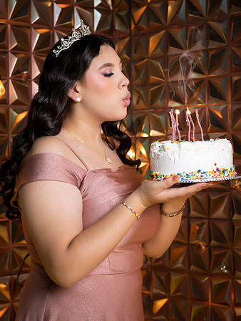 #3036 PATRICIA IBARRA VILLARREAL - 9785
