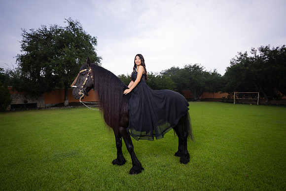#12534 MELISSA TORRES MARTINEZ - 2295