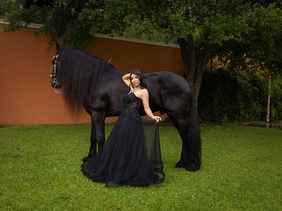 #12534 MELISSA TORRES MARTINEZ - 2335