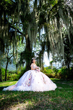#8606 RAMONA ZUÑIGA RAMIREZ_XV FORMAL_VIÑEDO GARZA_BRYAN-8695
