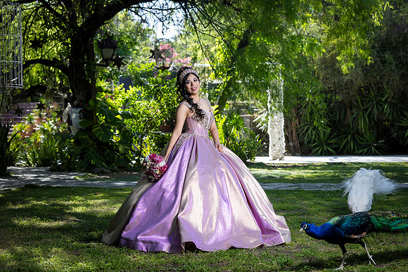 14-04-25 #8208 ERIKA PATRICIA BRIONES _CTR1636