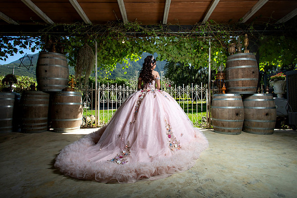 #8606 RAMONA ZUÑIGA RAMIREZ_XV FORMAL_VIÑEDO GARZA_BRYAN-8645