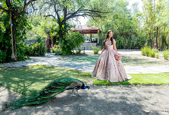 30 07 26 #8602 ALEXANDRA GONZALEZ-0478