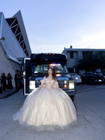 #8541 CARMEN RODRIGUEZ - 6703