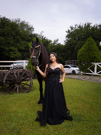 #12534 MELISSA TORRES MARTINEZ - 2268