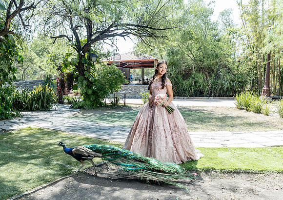 30 07 26 #8602 ALEXANDRA GONZALEZ-0474