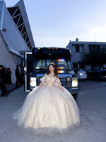#8541 CARMEN RODRIGUEZ - 6705