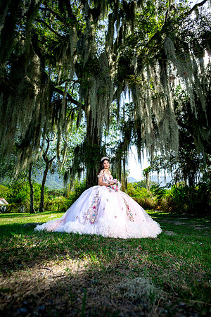 #8606 RAMONA ZUÑIGA RAMIREZ_XV FORMAL_VIÑEDO GARZA_BRYAN-8698